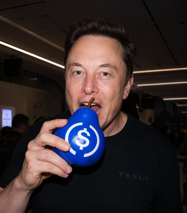Elon Musk biting the USDC pear